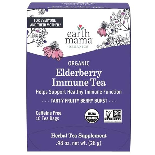 Earth Mama Organic Elderberry Immune Support Tea with Echinacea | Safe for Pregnancy, Breastfeeding, Postpartum, Kids and Family Essentials, Decaf Tea with Ginger & Rooibos, 16-Count