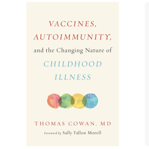 Vaccines, Autoimmunity, and the Changing Nature of Childhood Illness