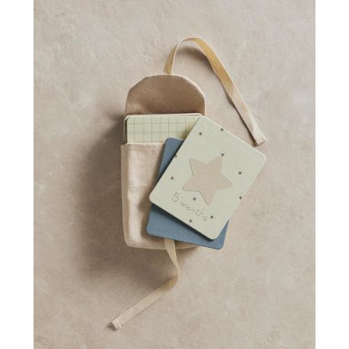 BABY MONTHLY MILESTONE KIT – 12 DONKEY CARDS