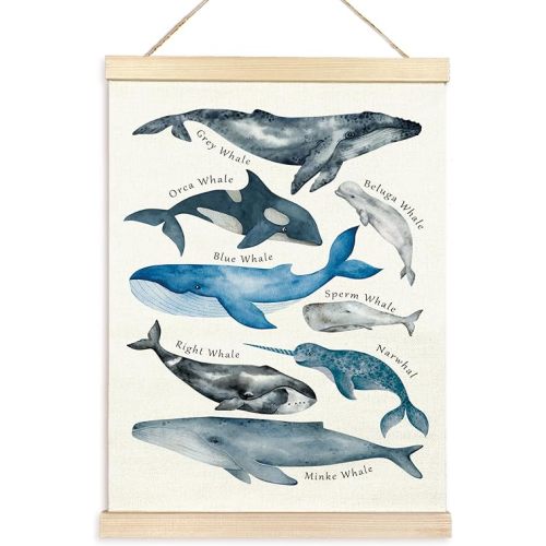 TAEDIN Whales Ocean Animal Chart Poster Hanger Frame, Whales Nautical Wall decor Educational Wooden Canvas Print, Sea Life Beach Wall Decor Painting for Classroom Nursery Bedroom Teen Room 12X16