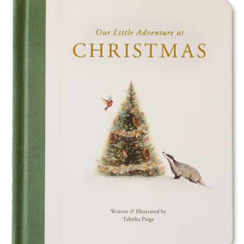 Our Little Adventure at Christmas: Featuring Foundational Language Concepts and Lessons on the Joy of Giving (Tabitha Paige Children's Book Series)