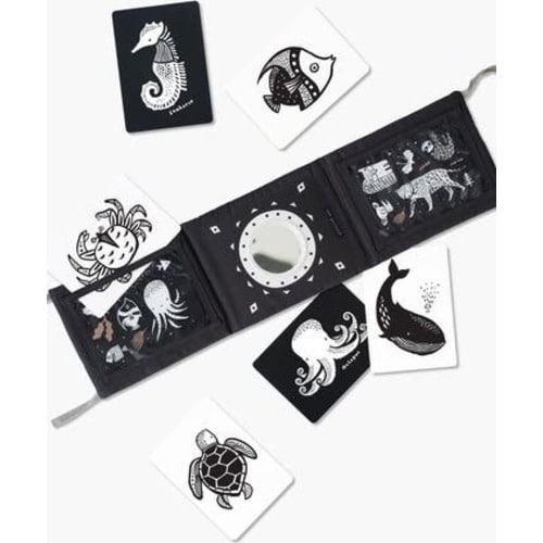 Tummy Time Gallery with Mirror and Art Cards for Baby Bundle