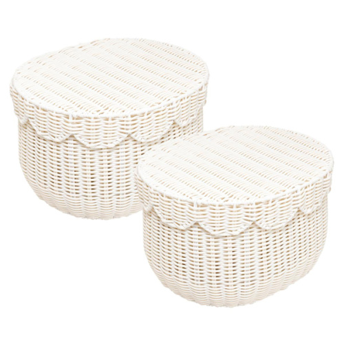 Emryn House PE Rattan Storage Baskets with Lids - Set of 2 | HSN
