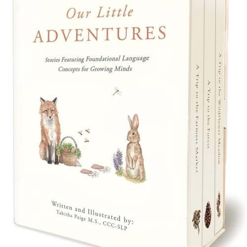 Our Little Adventures: Stories Featuring Foundational Language Concepts for Growing Minds (Tabitha Paige Children's Book Series)