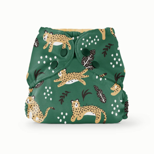 Outer–WWF Wildcats / One