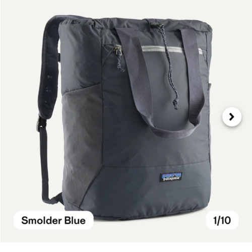 Patagonia Terravia Tote Bag Backpack 24L