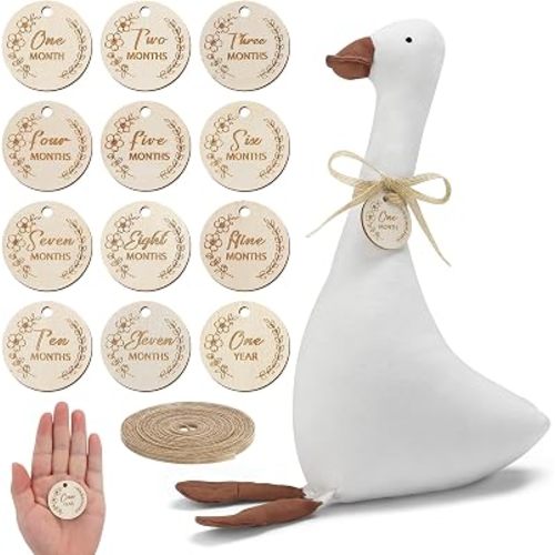 Biubee Baby Monthly Milestone Goose Photography Props