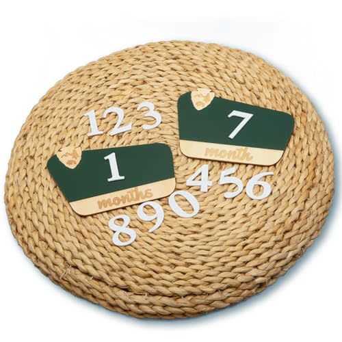 National Park Baby Milestone Markers - Wooden Monthly Signs for 1-12 Months, Interchangeable Nature-Themed Growth Tracker, Rustic Nursery Decor, Woodland Baby Announcement Board, Photoshoot Props
