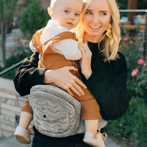 Tushbaby Hip Seat Carrier - Silver/Velvet