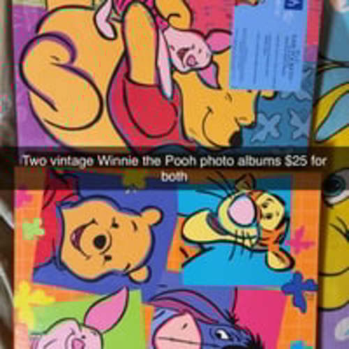 Vintage Winnie the Pooh photo albums