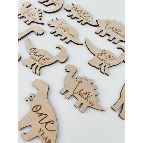 Dinosaur Monthly Milestone For Baby Photos | Monthly Milestone Marker | Dinosaur Theme Baby Gift | Dinosaur Milestone | Dino Nursery Theme