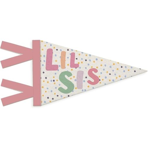 Girls Room Decor, Lil Sister Wall Hanging Pennant Flag Banner, Boho Colorful Spot Wall Decorations for Twins Baby Little Girls Bedroom Playroom Nursery Decor