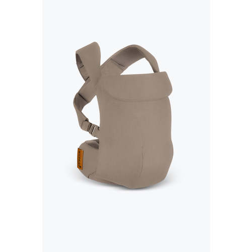 Desert Lark - Aerial Carrier – WildBird