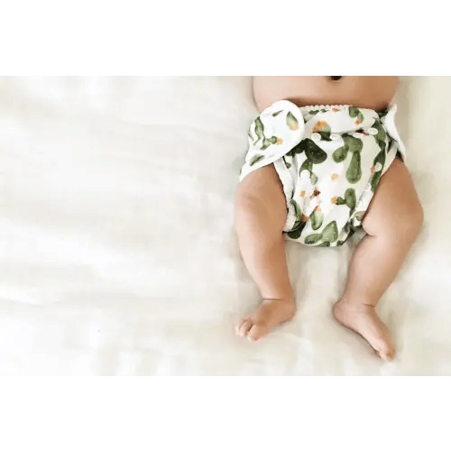Cloth Diaper Fund