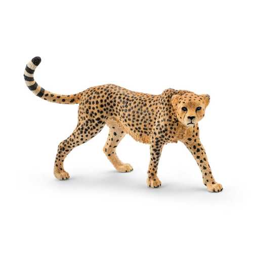 Cheetah, female 14746 | Schleich USA Inc.