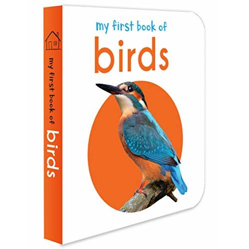 My First Book of Birds