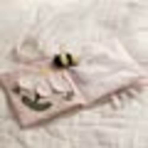 Wildflower Butterfly Soft Book