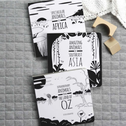 Set of 3 black and white baby books