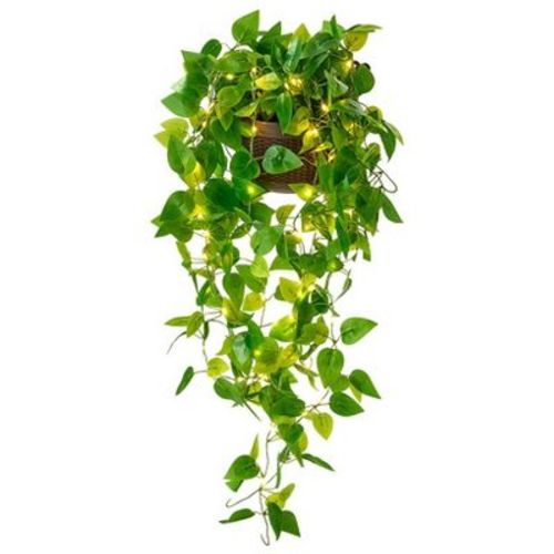 The Lakeside Collection Lighted Wall Hanging Flower Cascade - Cottagecore Ivy Plant