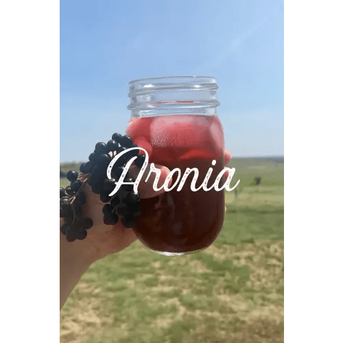 Aronia Switchel Concentrate - Made Whole Food Co. — Made Whole Farm + Food Co.