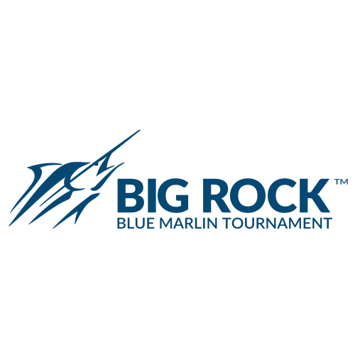 Searock Baby Seat - The Big Rock Store