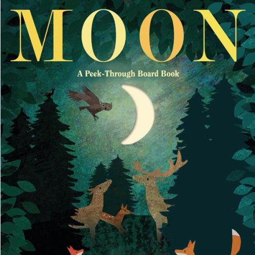 Moon: A Peek-Through Board Book