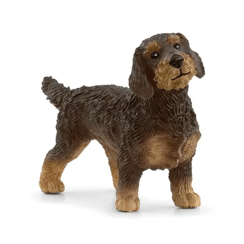 Schleich Farm World - Farm Animal Toy Wire Haired Dachshund Dog Toy Figurine - Kids Ages 3+