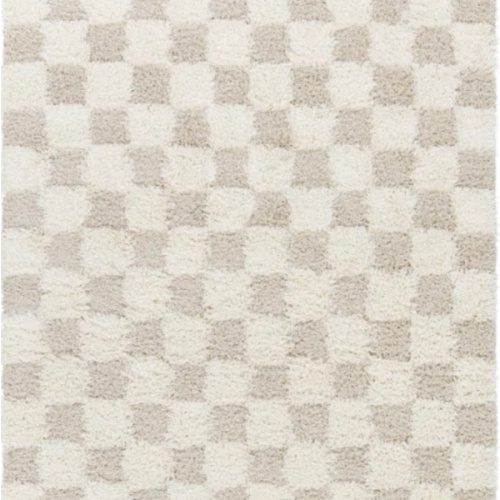 Molly Checkered Indoor Rug