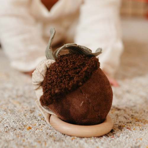 ACORN