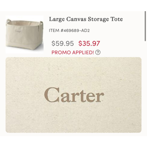 Small Canvas Storage Tote | Lands' End