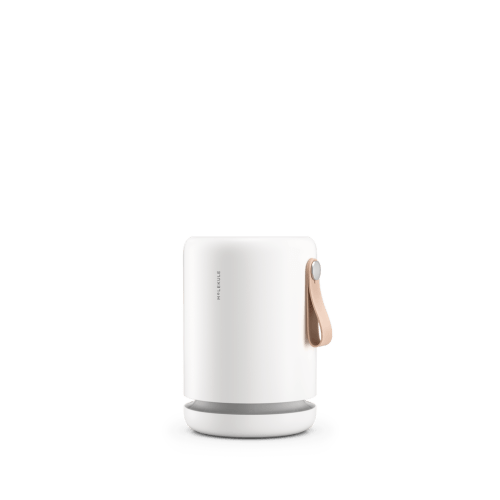 Molekule Air Mini+ with PECO-HEPA Tri-Power filter