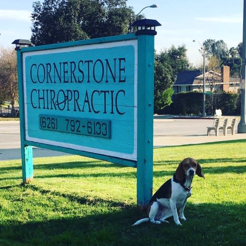 PRENATAL CHIROPRACTOR PACKAGE $500