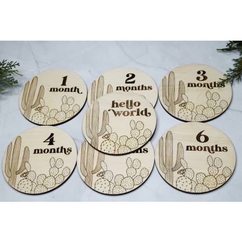 Baby Monthly Milestone Markers, Wood Milestone Disc, Baby Photo Props, Baby Milestone Blocks, Cactus Baby's First Year, 1-12 Month Rounds