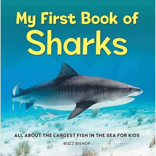 My First Book of Sharks: All About the Largest Fish in the Sea for Kids Paperback – August 16, 2022