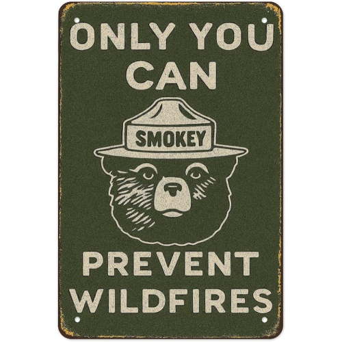 Vintage Forest Fire Safety Metal Tin Sign, Only You Can Prevent Wildfires Quote, 8 x 12 Inch Rustic Wall Art for Cabin, Campground or Outdoor Decor