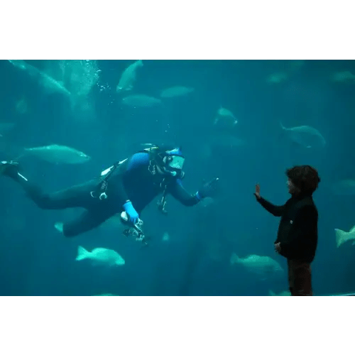 Aquarium Family Membership