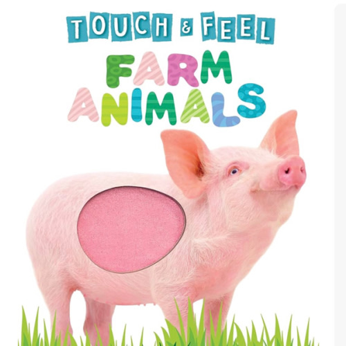 Touch and Feel Farm Animals - Novelty Book - Children's Board Book - Interactive Fun Child's Book