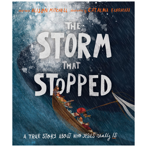 The Storm That Stopped Storybook - Alison Mitchell, Catalina Echeverri | The Good Book Company