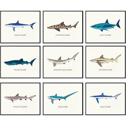 97 Decor Whale Shark Poster - Shark Decor for Boys Room, Sea Life Pictures Wall Art, Vintage Sharks Knowledge Prints, Sea Creature Nursery Artwork for Kids Bedroom Decoration (8x10 UNFRAMED)