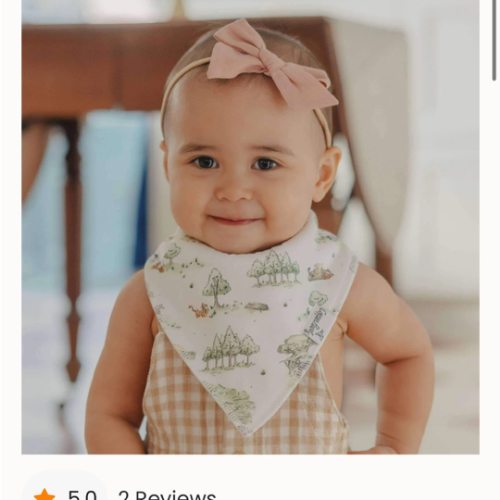 Baby Bandana Bibs - Hundred Acre Wood – Copper Pearl