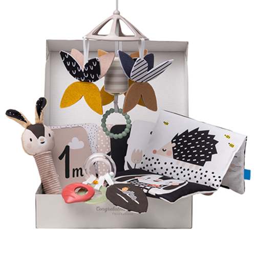 Newborn Black & White Kit 10 Pieces