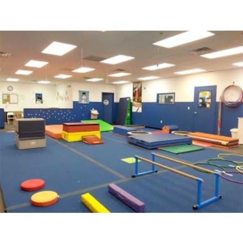 Gymnastics & Swimming Classes