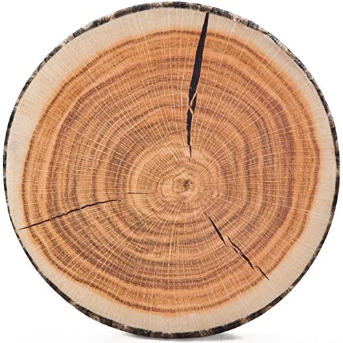 HYSEAS Decorative Round Throw Pillow, 3D Digital Print Comfortable Kids Funny Cute Wood Log Pillow Circle Seating Floor Cushion for Home, Couch, Sofa, Bedroom, Living Room Decor, Stump