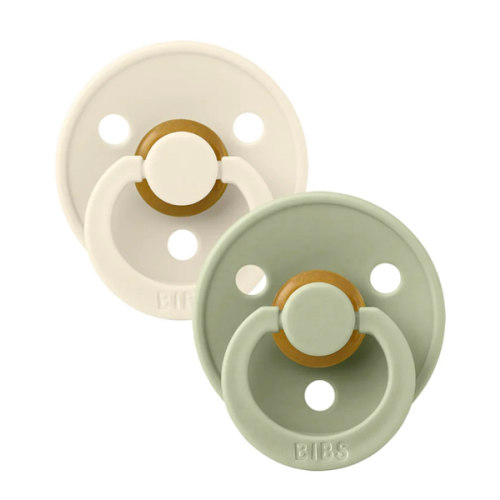 2 Pack Colour Pacifiers