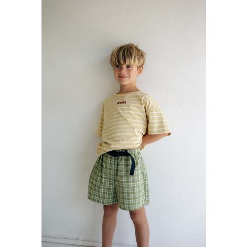 Banjo Short - Green Check