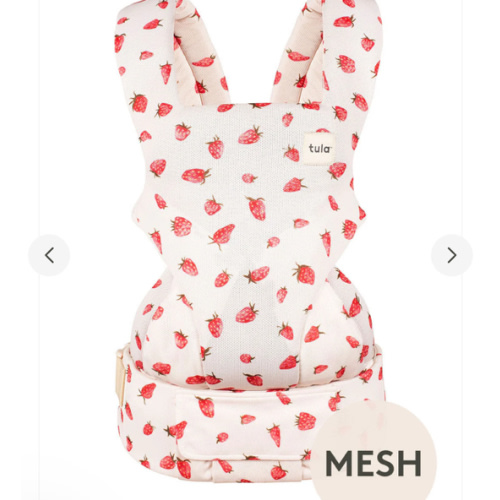 Strawberry - Mesh Explore Baby Carrier – Baby Tula US