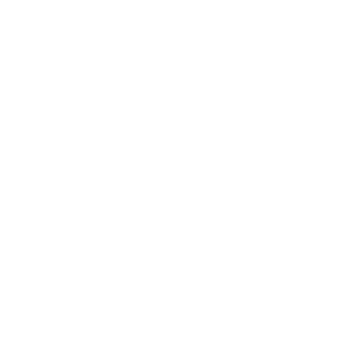 Go Pouch Set | Golden Poppy