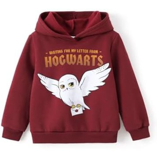 Harry Potter Hoodie for Kids Girls Boys Gryffindor Slytherin Ravenclaw Hufflepuff Pullover Hooded Sweatshirt Hogwarts Clothes