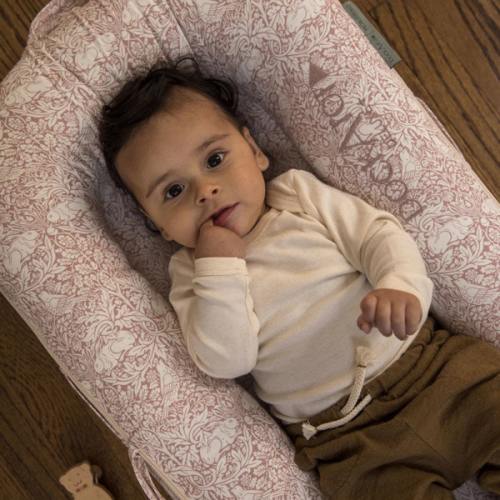 Deluxe+ Dock (0-8 months)