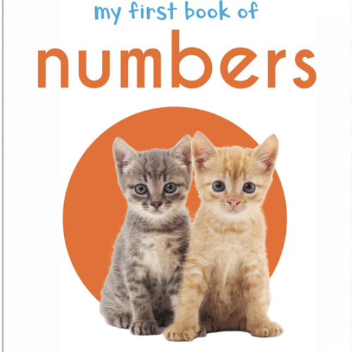 My First Book of Numbers: First Board Book